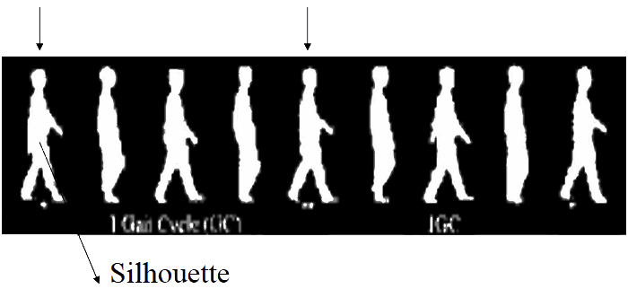 Robot Gait Recognition