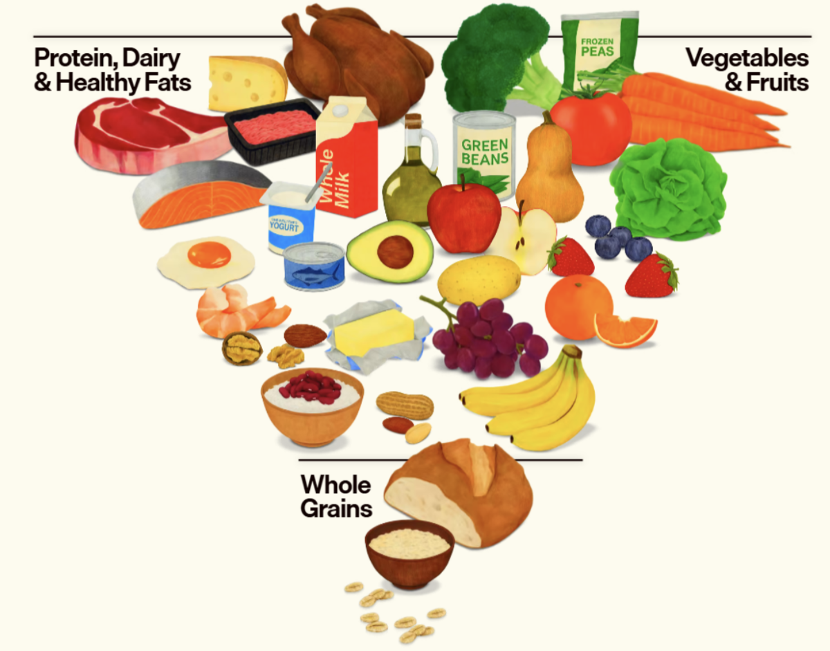 US food pyramid recommends very high protein diet, beef tallow as healthy fat option, full-fat dairy