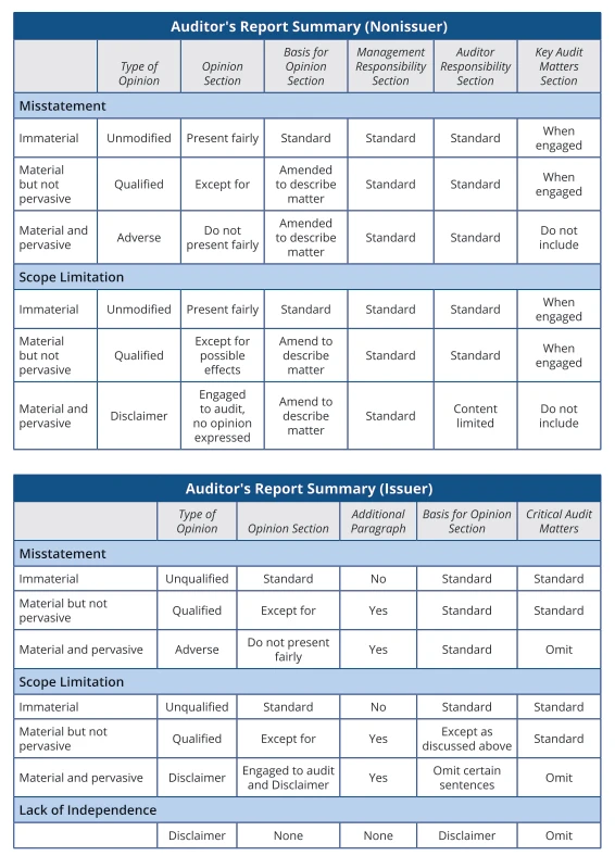 CPA | AUD Auditors Report summary
